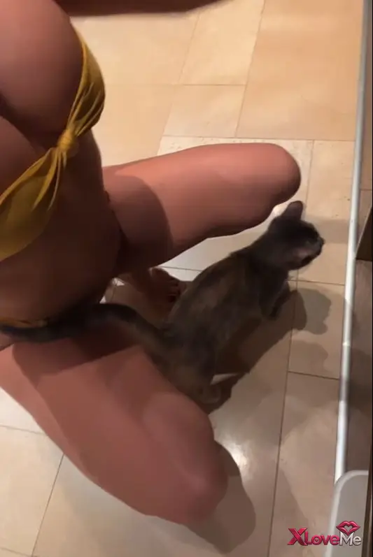 Tango Yayınları — Serpil Cansız ifşa Sarı bikinili mutfakta yayın videosu — Serpil Cansız