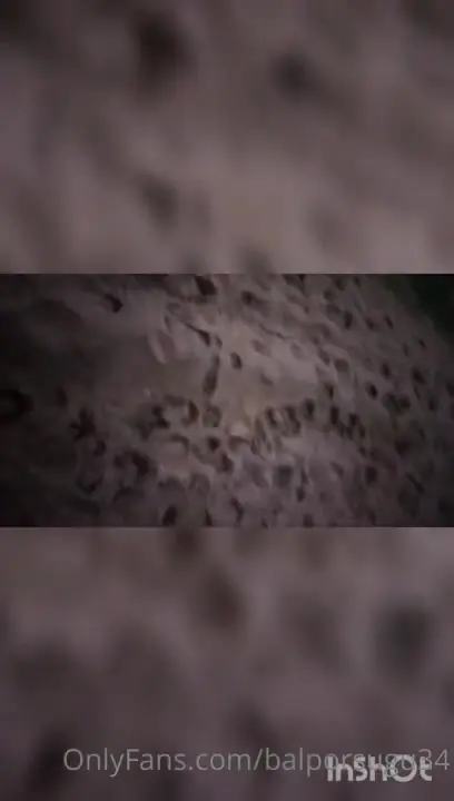Bal Porsuğu Mükemmel Videoları - Part 13 — Türk ifşa